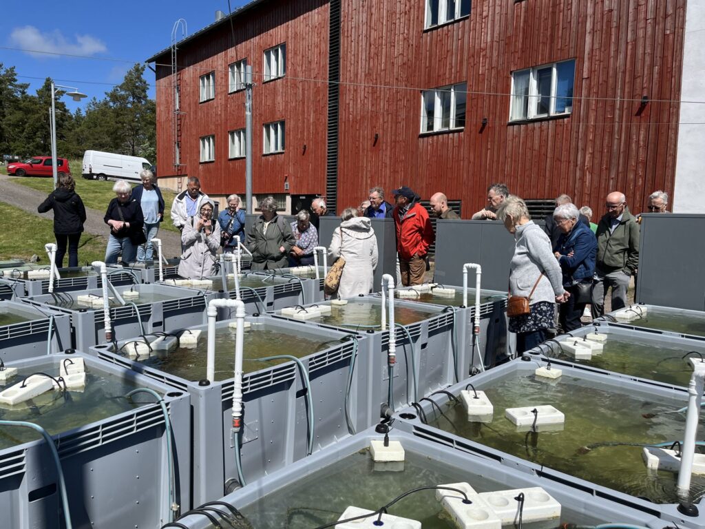 En grupp människor står utomhus runt flera stora vattentankar med rör och utrustning, nära en röd träbyggnad en solig dag.